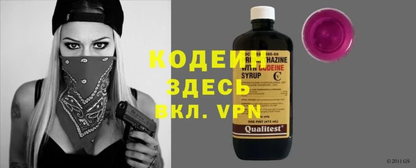 индика Арсеньев