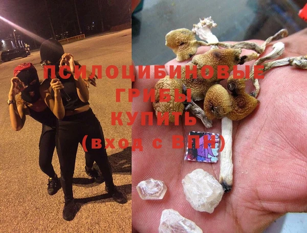 тгк Алзамай