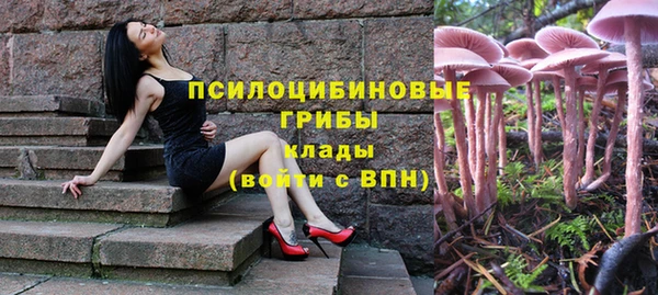 ПСИЛОЦИБИНОВЫЕ ГРИБЫ Алексеевка