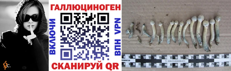 Купить где  Томмот  Галлюциногенные грибы мицелий 